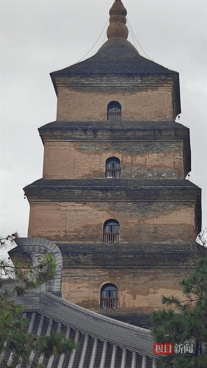 菇大雁塔受潮城墙布满青苔气象局解释成因不朽情缘版西安连续一个多月降雨遍地长蘑(图4)